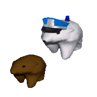Bob