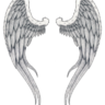 blackjackshn